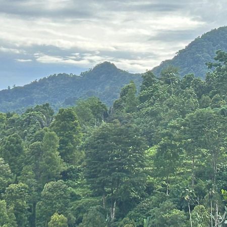 Villa Kubu Gitgit Bagian luar foto