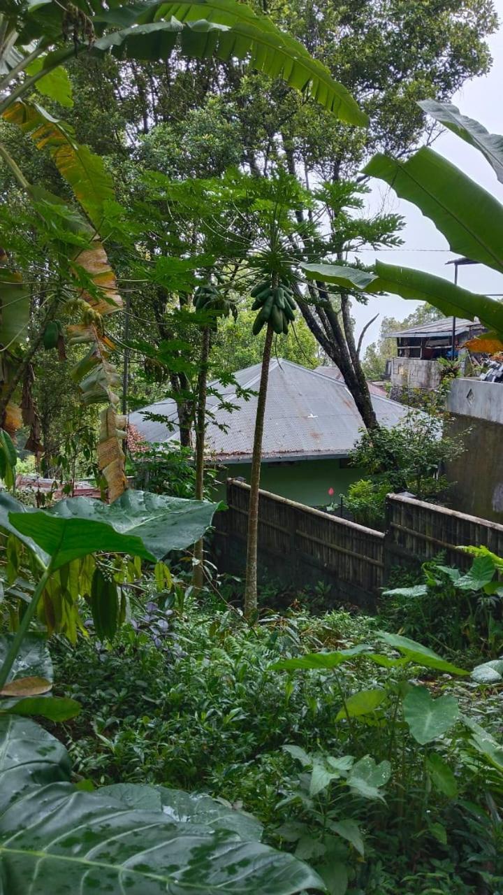 Villa Kubu Gitgit Bagian luar foto