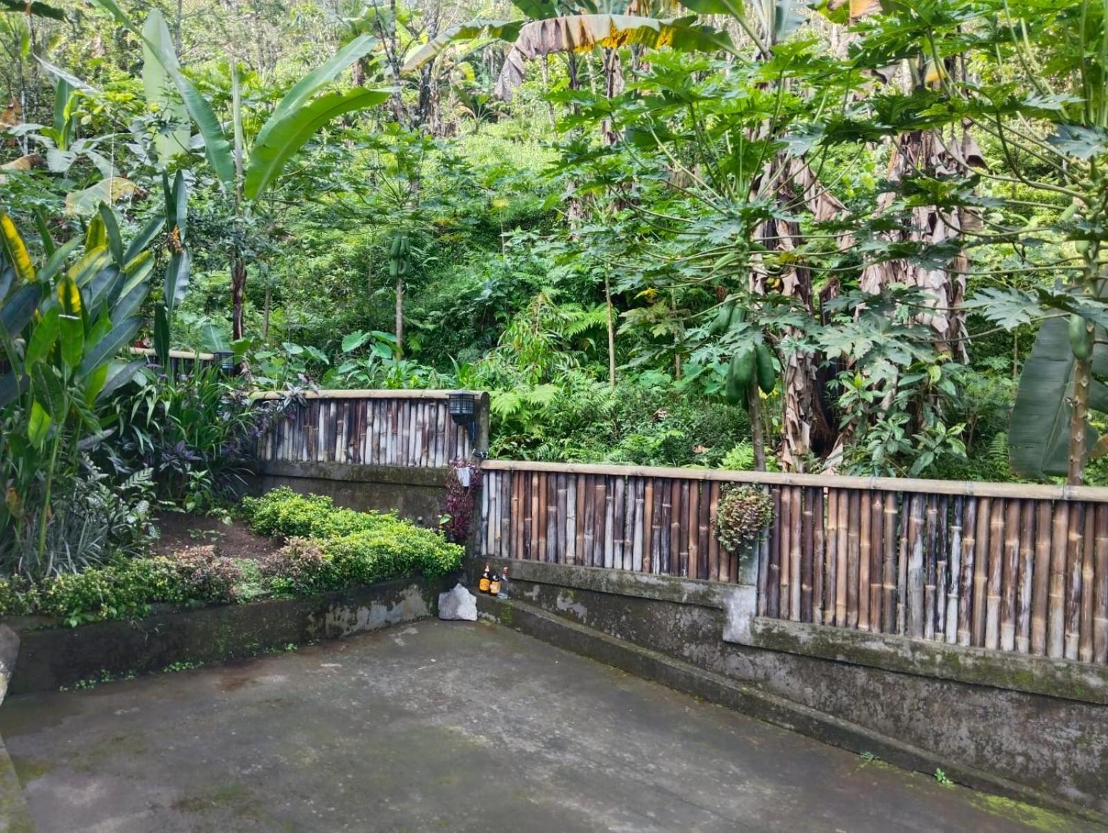 Villa Kubu Gitgit Bagian luar foto