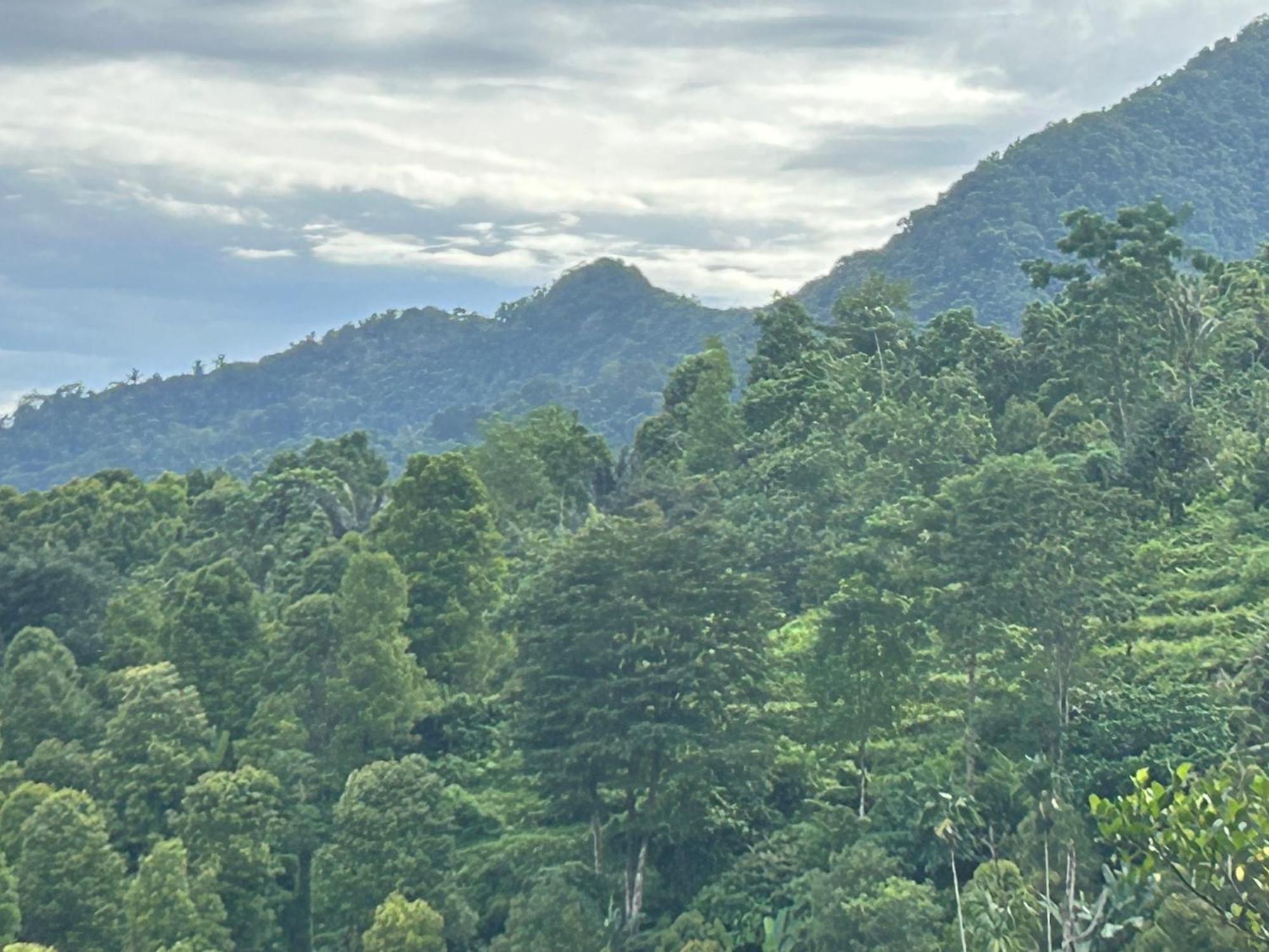 Villa Kubu Gitgit Bagian luar foto